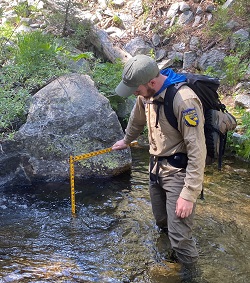 Scientific Aid Stew Sloan measures the depth of a pool while standing in Pacifc Creek within the Carson-Iceberg Wilderness.